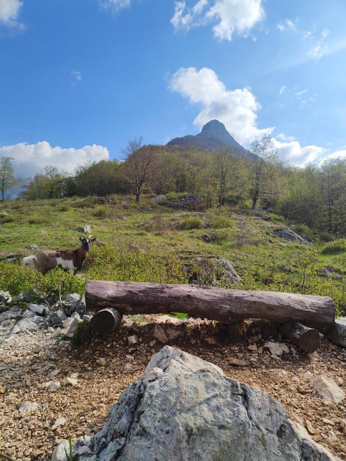 Apartma Metka Bovec Buitenkant foto